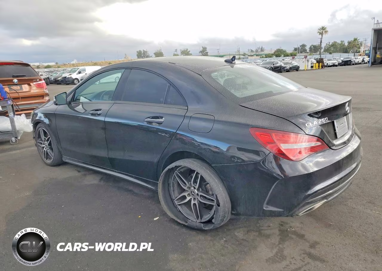 2019 Mercedes-Benz Cla 250 VIN:WDDSJ4EB8KN737420 - 2