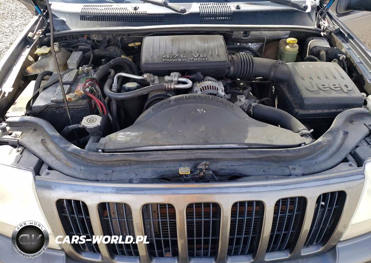 1999 Jeep Grand Cherokee Limited VIN:1J4GW68N2XC677361 - 12