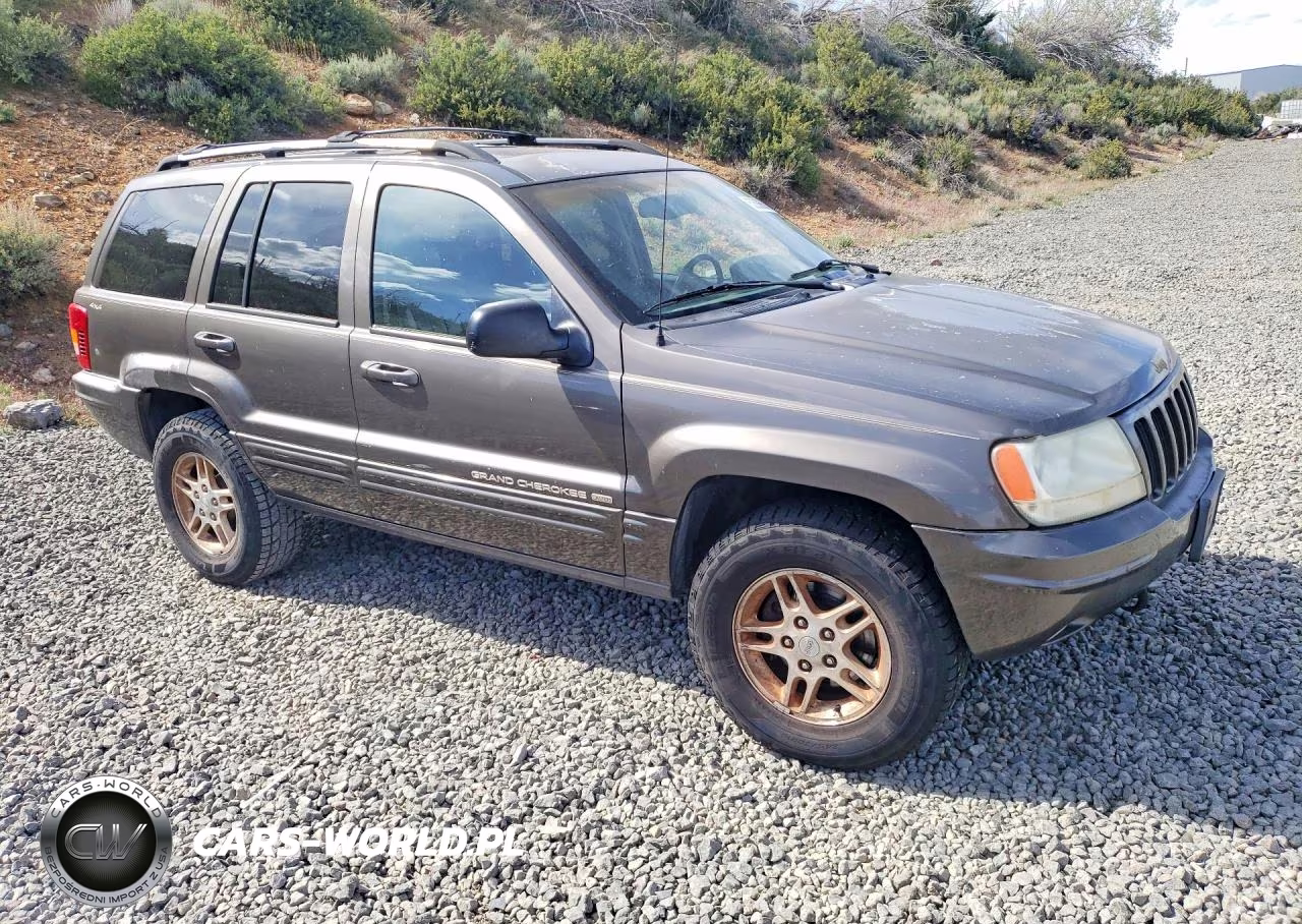 1999 Jeep Grand Cherokee Limited VIN:1J4GW68N2XC677361 - 4