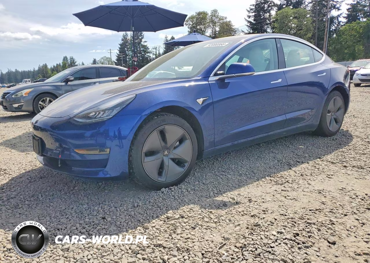 2019 Tesla Model 3
