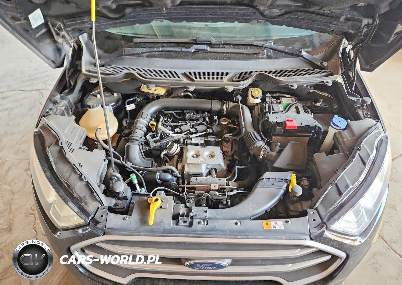 2018 Ford Ecosport Se VIN:MAJ3P1TE1JC164515 - 12