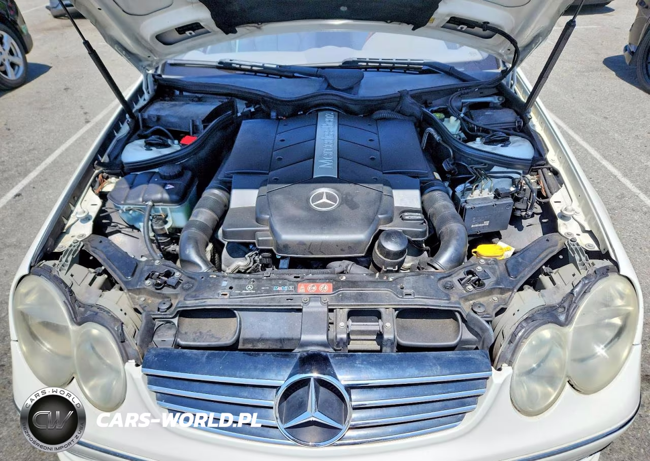 2004 Mercedes-Benz Clk 500 VIN:WDBTK75G34T031848 - 11