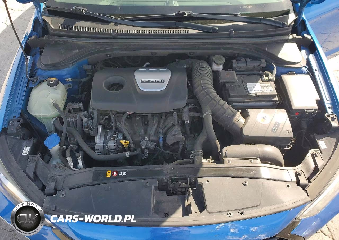 2017 Hyundai Elantra Sport VIN:KMHD04LB1HU330719 - 11