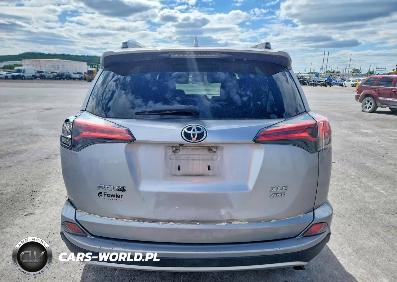 2016 Toyota Rav4 Xle VIN:2T3RFREV9GW538166 - 6
