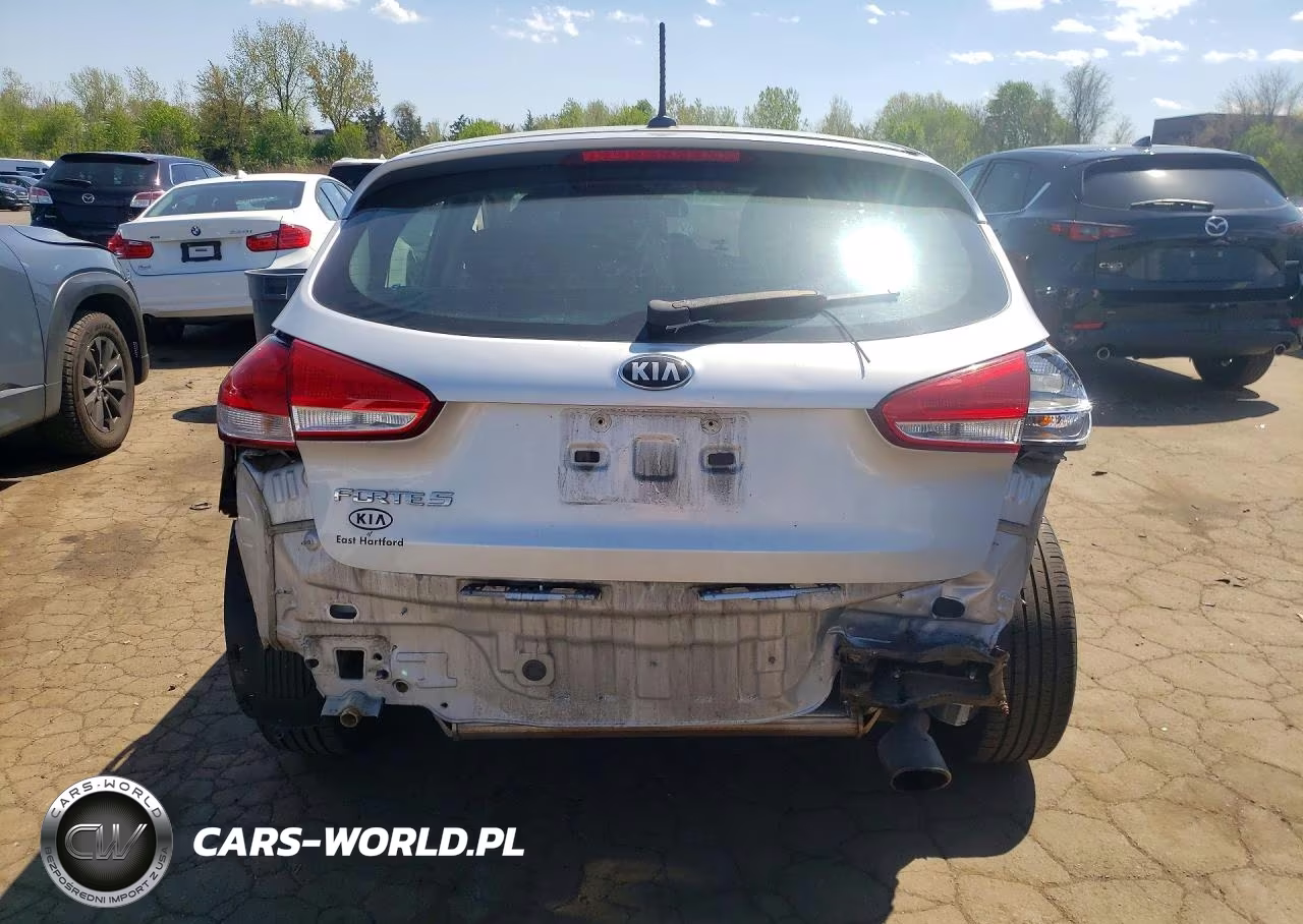 2016 Kia Forte Lx VIN:KNAFK5A88G5635967 - 6
