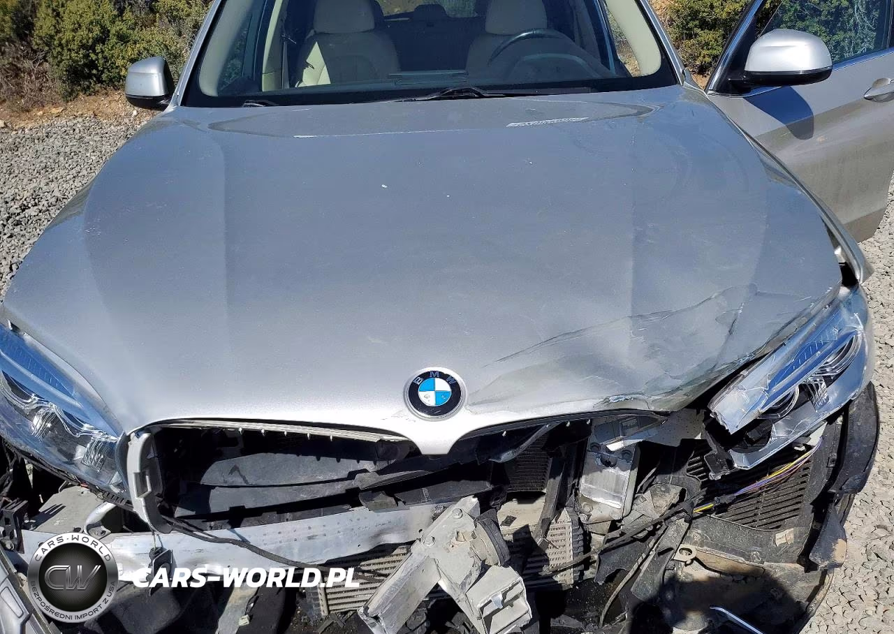 2015 BMW X5 xDrive35I VIN:5UXKR0C59F0K69546 - 12
