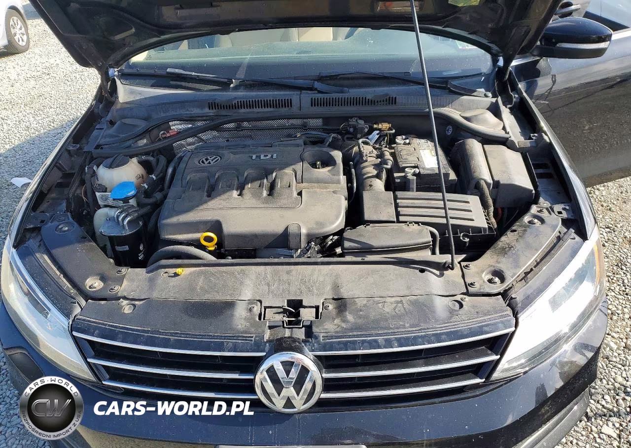 2015 Volkswagen Jetta Tdi VIN:3VWLA7AJ2FM423126 - 11
