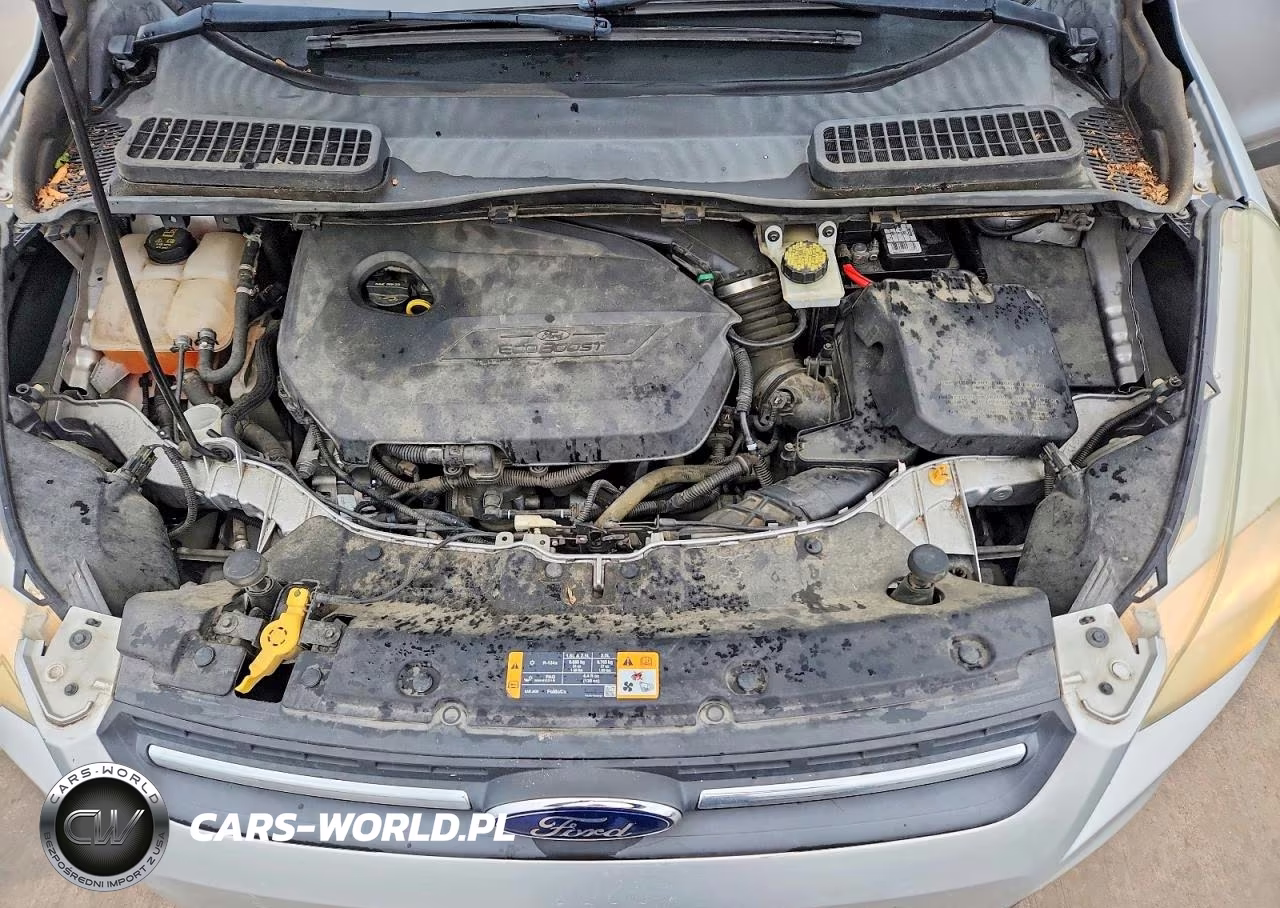 2014 Ford Escape Se VIN:1FMCU0GX5EUA47203 - 11