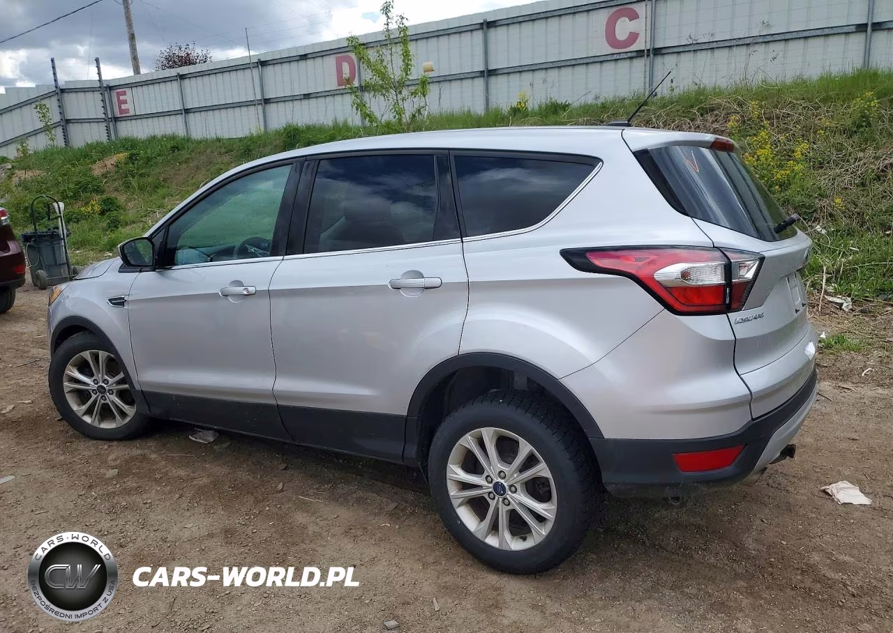 2017 Ford Escape Se VIN:1FMCU0GD4HUD19007 - 2