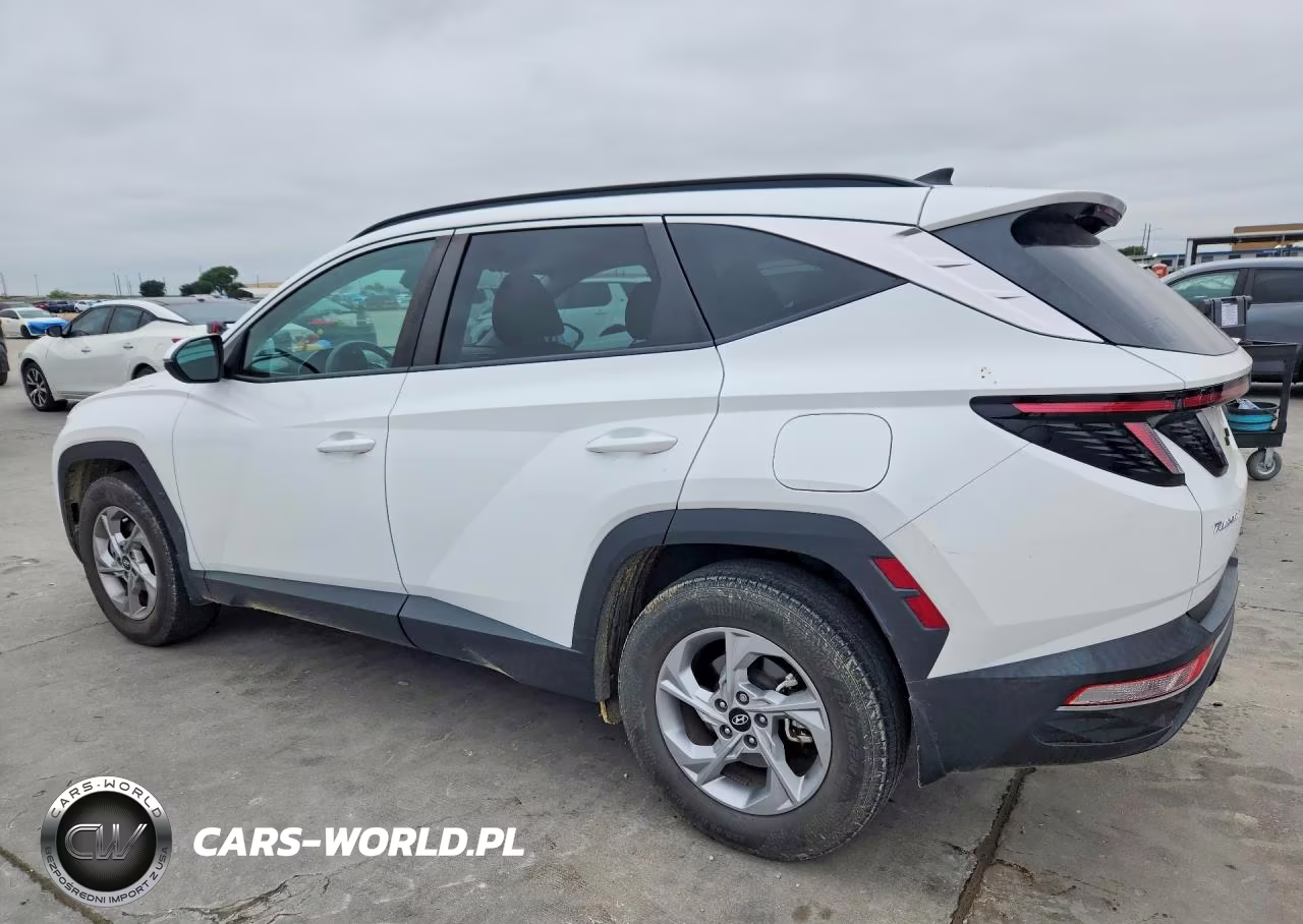 2023 Hyundai Tucson Sel VIN:5NMJB3AE7PH233202 - 2