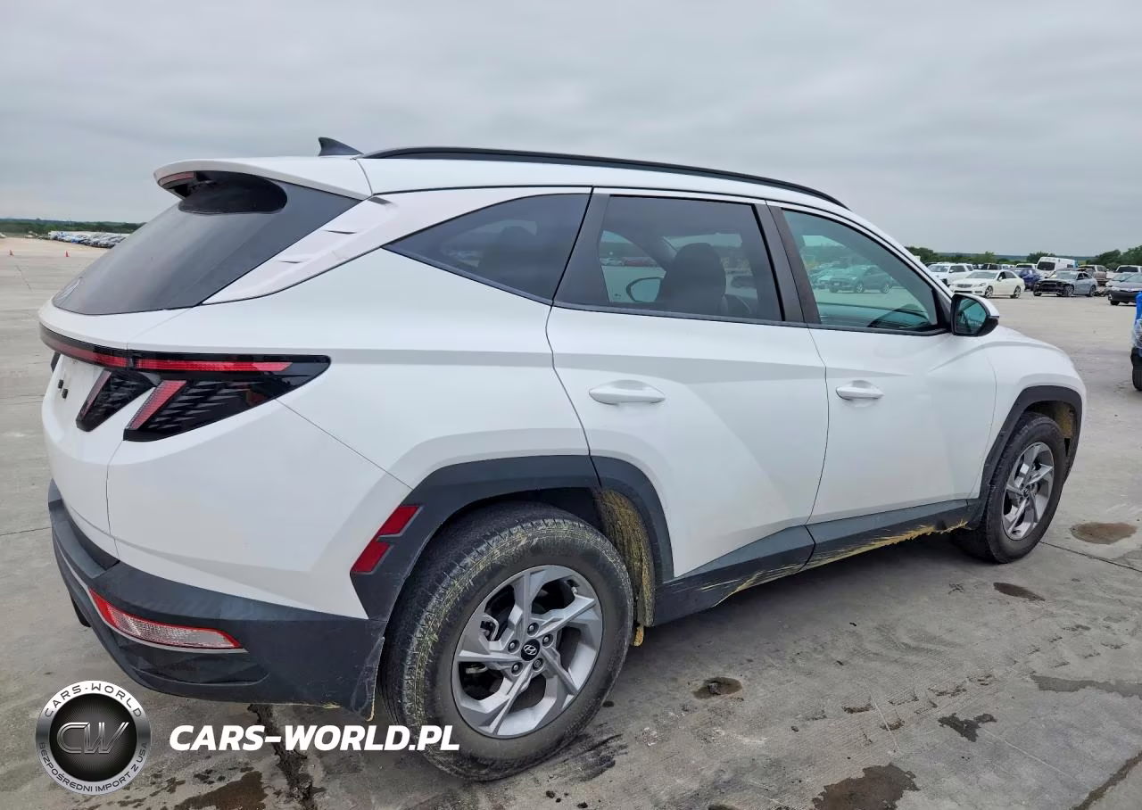2023 Hyundai Tucson Sel VIN:5NMJB3AE7PH233202 - 3