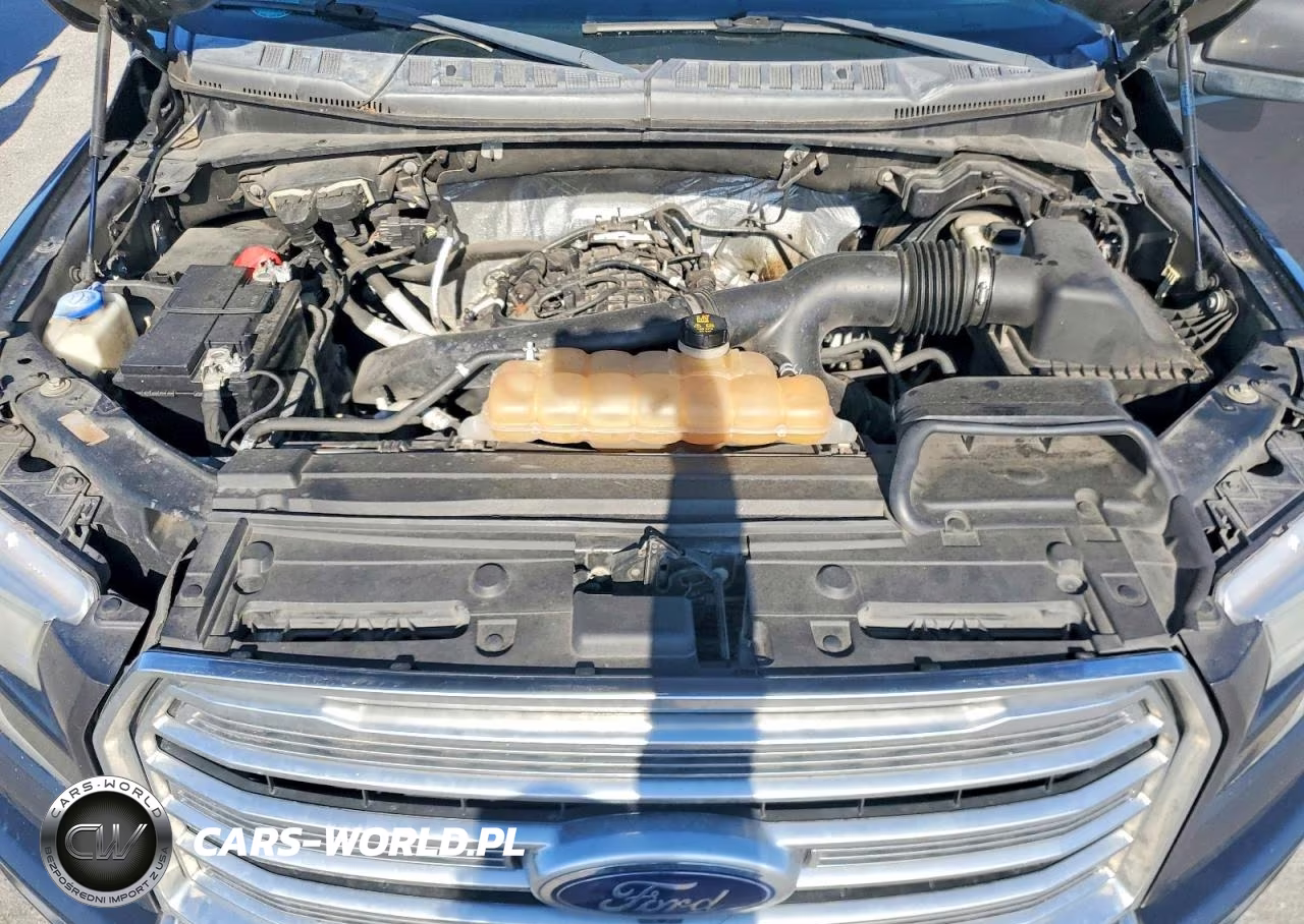 2016 Ford F150 Supercrew VIN:1FTEW1EGXGFD11684 - 11