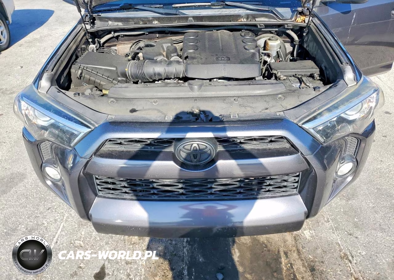2019 Toyota 4Runner Sr5 Premium VIN:JTEZU5JR3K5204119 - 12