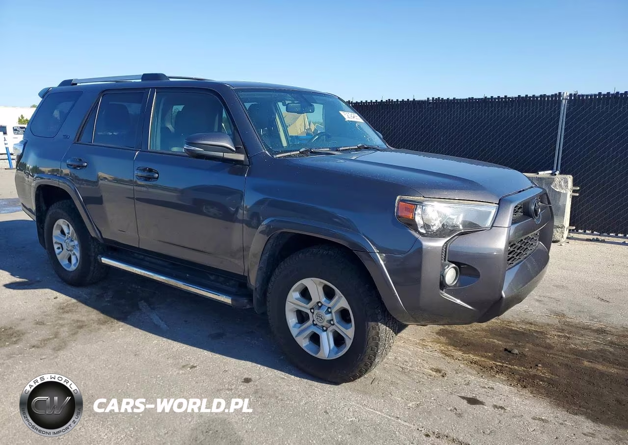 2019 Toyota 4Runner Sr5 Premium VIN:JTEZU5JR3K5204119 - 4