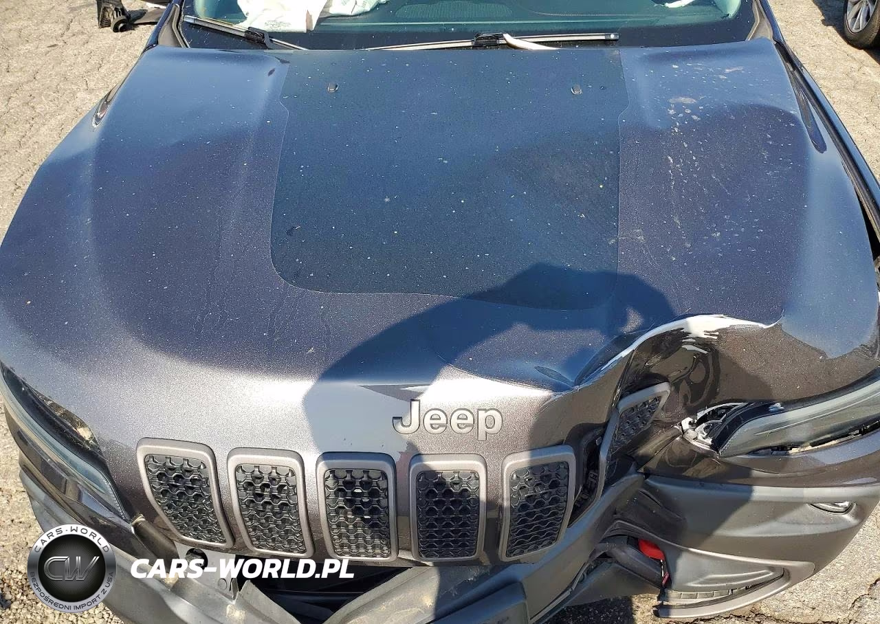 2021 Jeep Cherokee Trailhawk VIN:1C4PJMBX3MD214587 - 12
