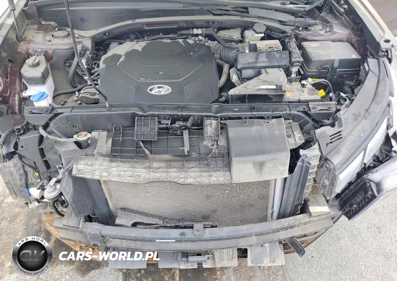 2025 Hyundai Palisade Calligraphy VIN:KM8R74GE0SU827693 - 12