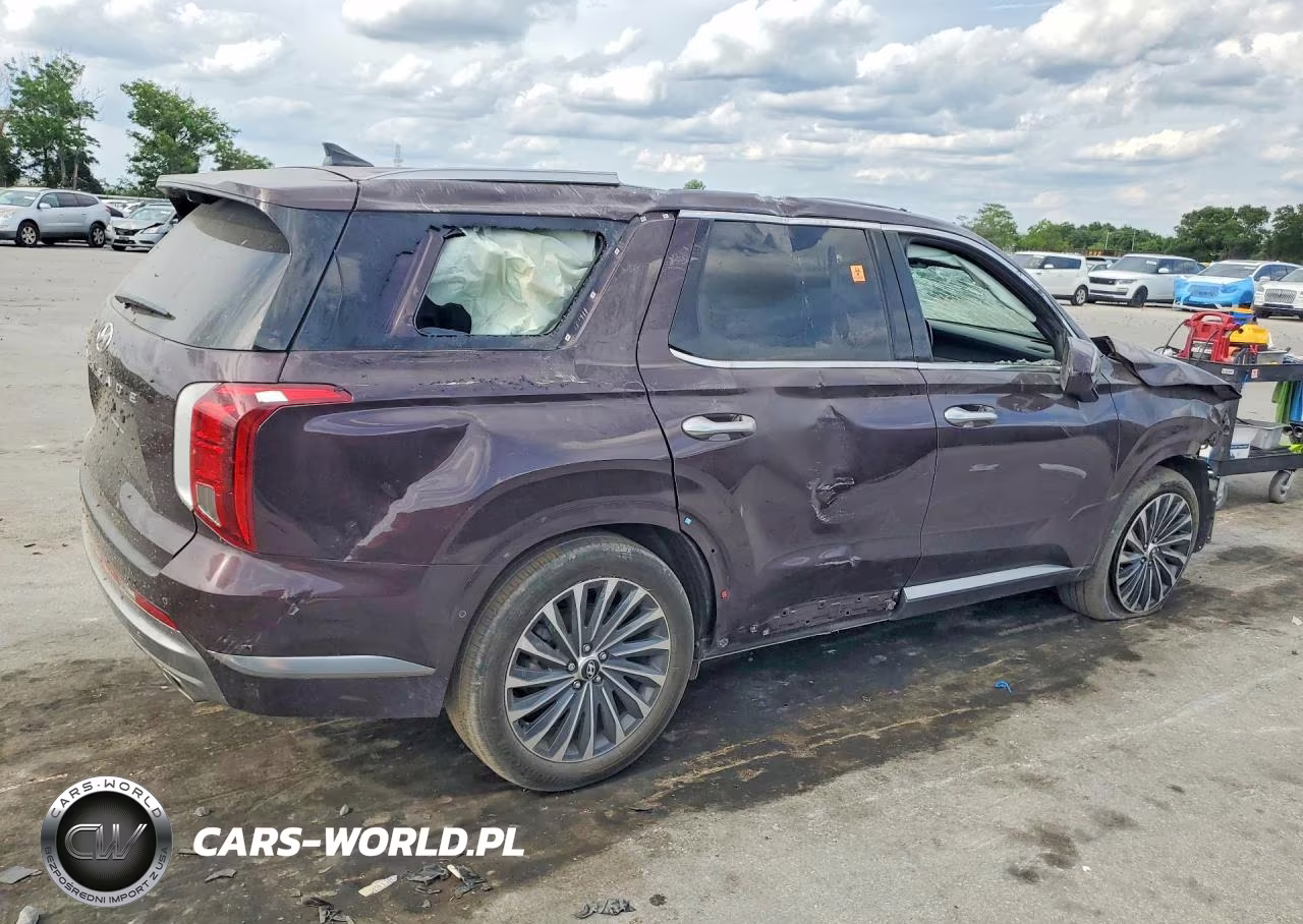 2025 Hyundai Palisade Calligraphy VIN:KM8R74GE0SU827693 - 3