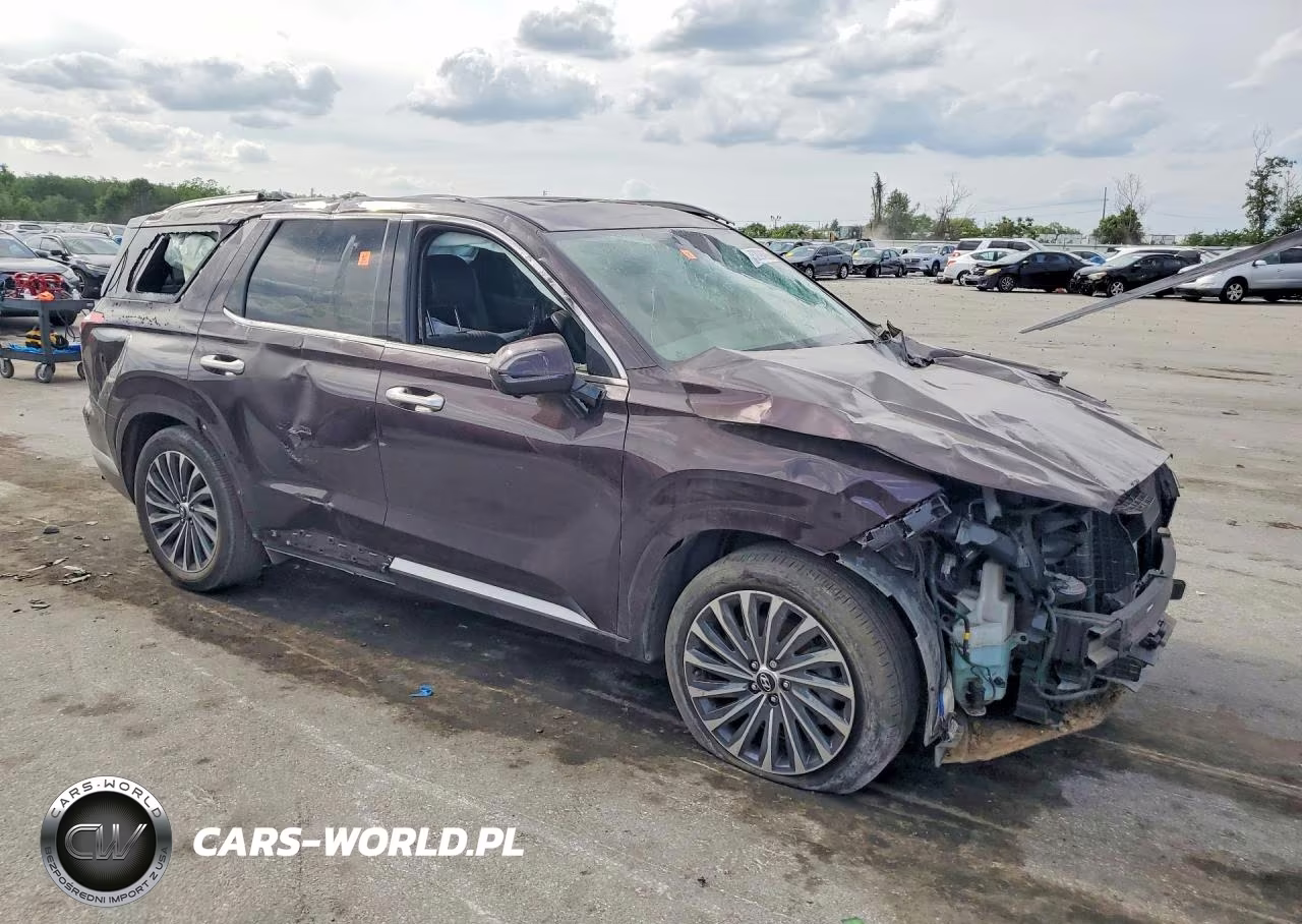 2025 Hyundai Palisade Calligraphy VIN:KM8R74GE0SU827693 - 4