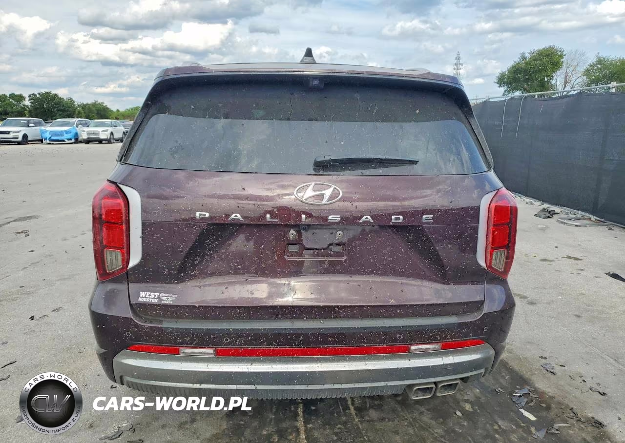 2025 Hyundai Palisade Calligraphy VIN:KM8R74GE0SU827693 - 6