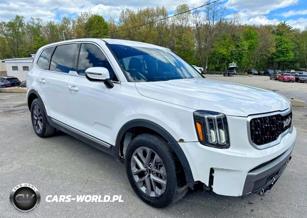 2023 Kia Telluride Lx VIN:5XYP2DGC8PG353106 - 4