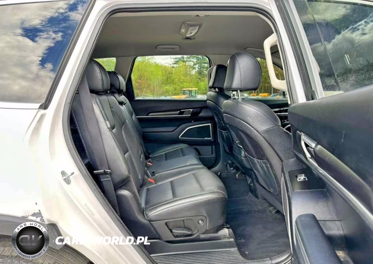 2023 Kia Telluride Lx VIN:5XYP2DGC8PG353106 - 5