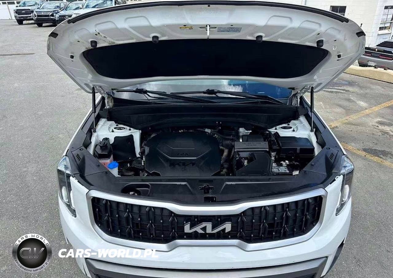 2023 Kia Telluride Lx VIN:5XYP2DGC8PG353106 - 9