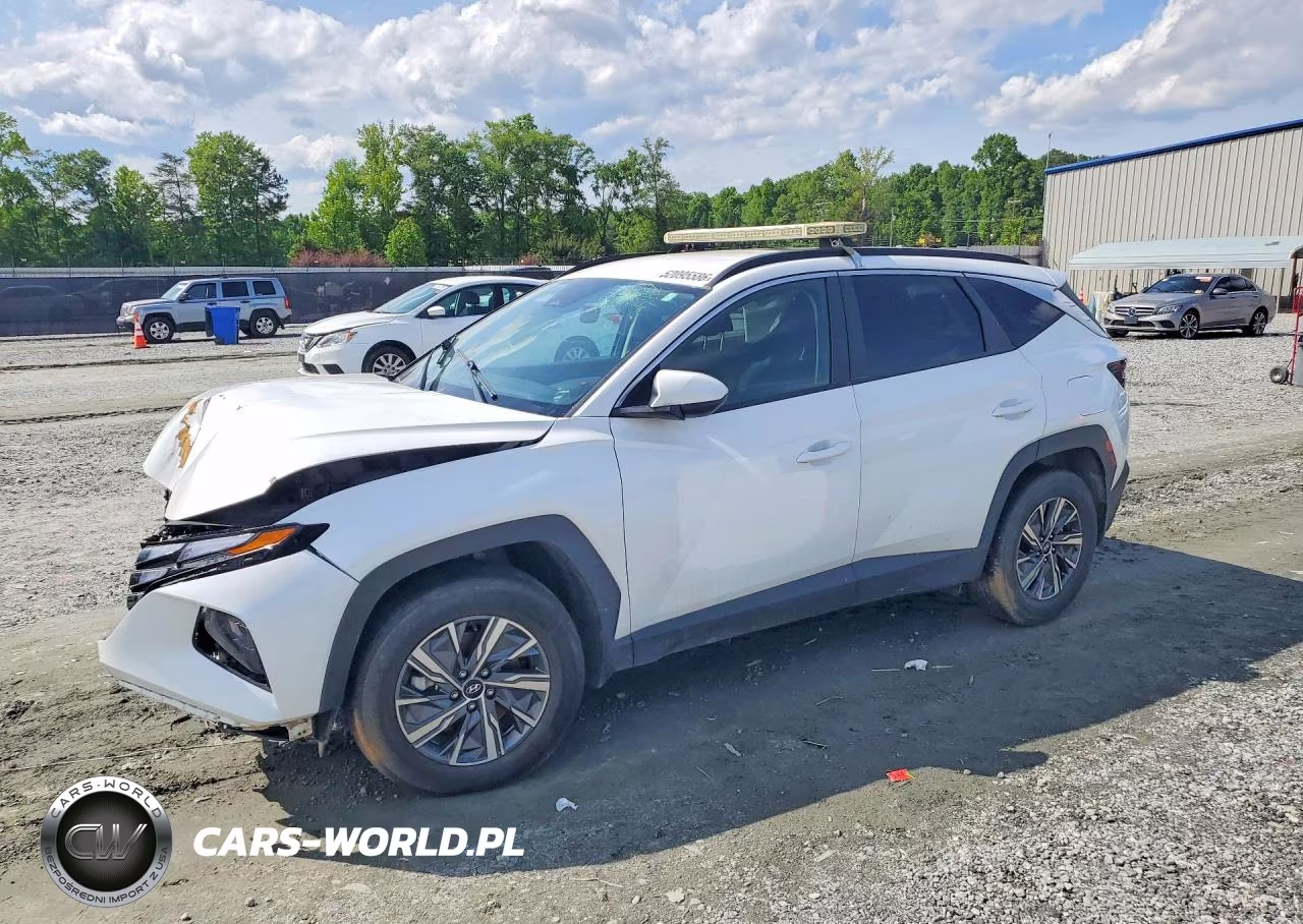 2024 Hyundai Tucson Blue