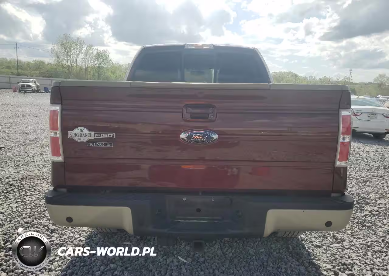 2009 Ford F150 Supercrew VIN:1FTPW12VX9KA77018 - 6