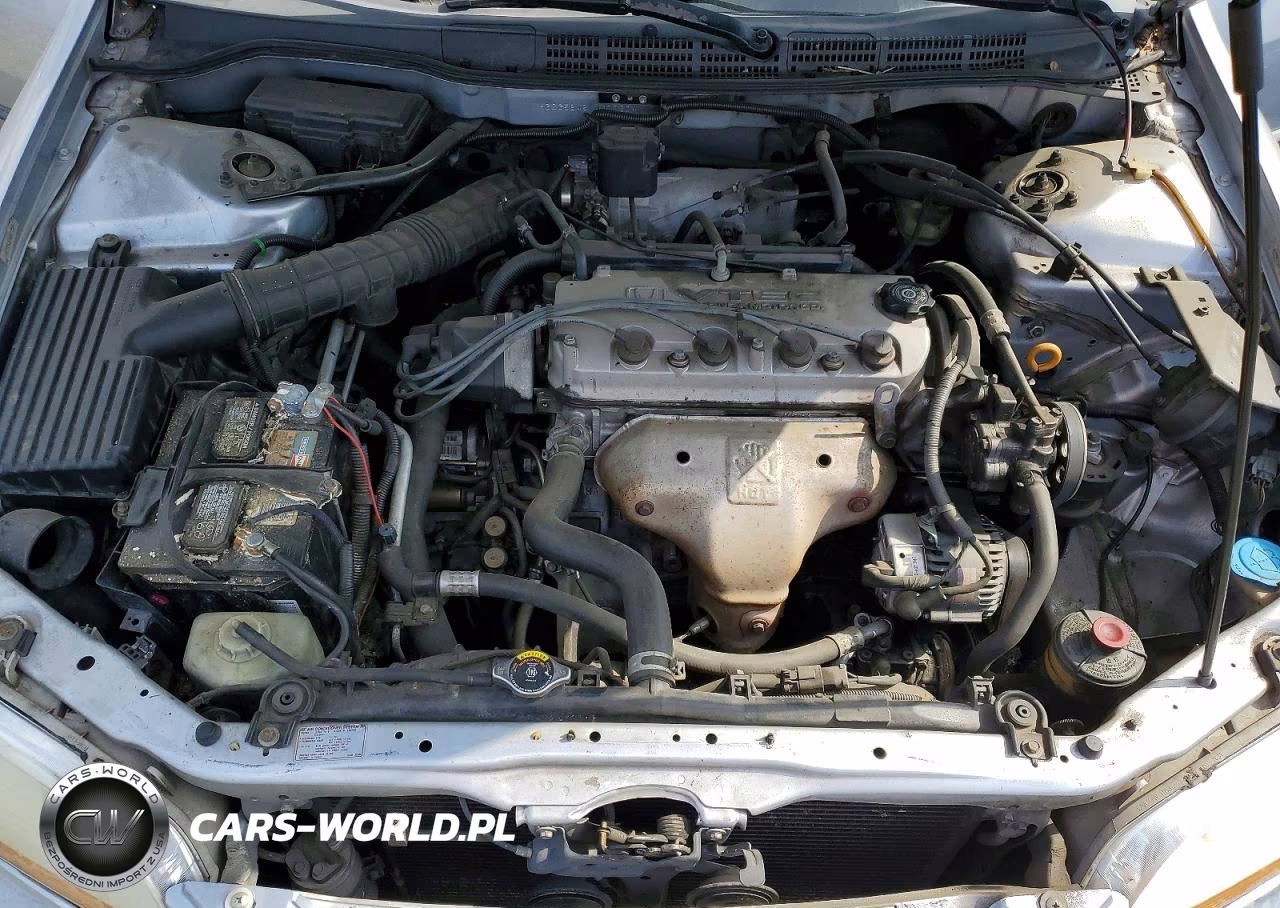 1998 Honda Accord Lx VIN:1HGCG5648WA077204 - 11