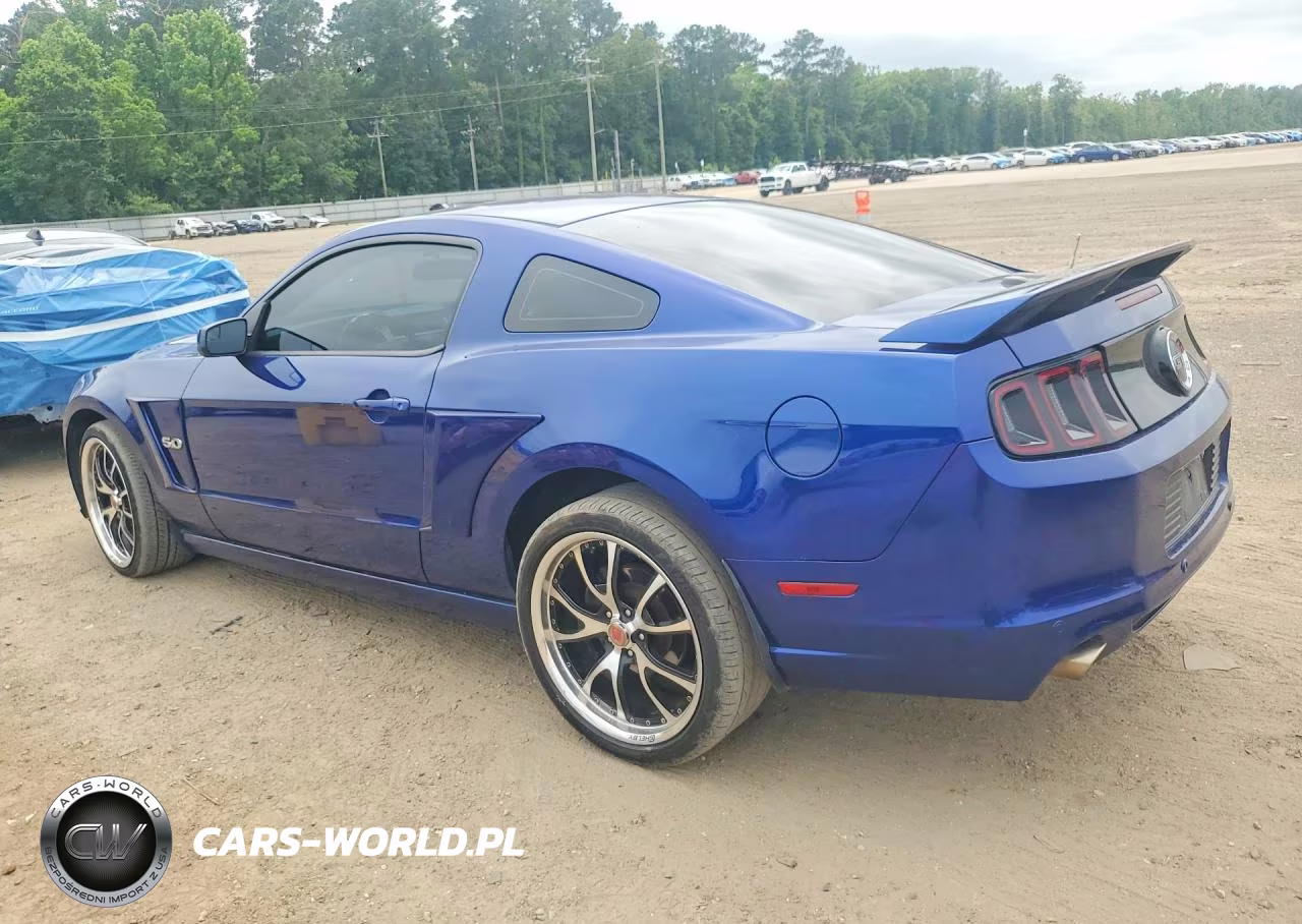 2013 Ford Mustang Gt VIN:1ZVBP8CF3D5223853 - 2
