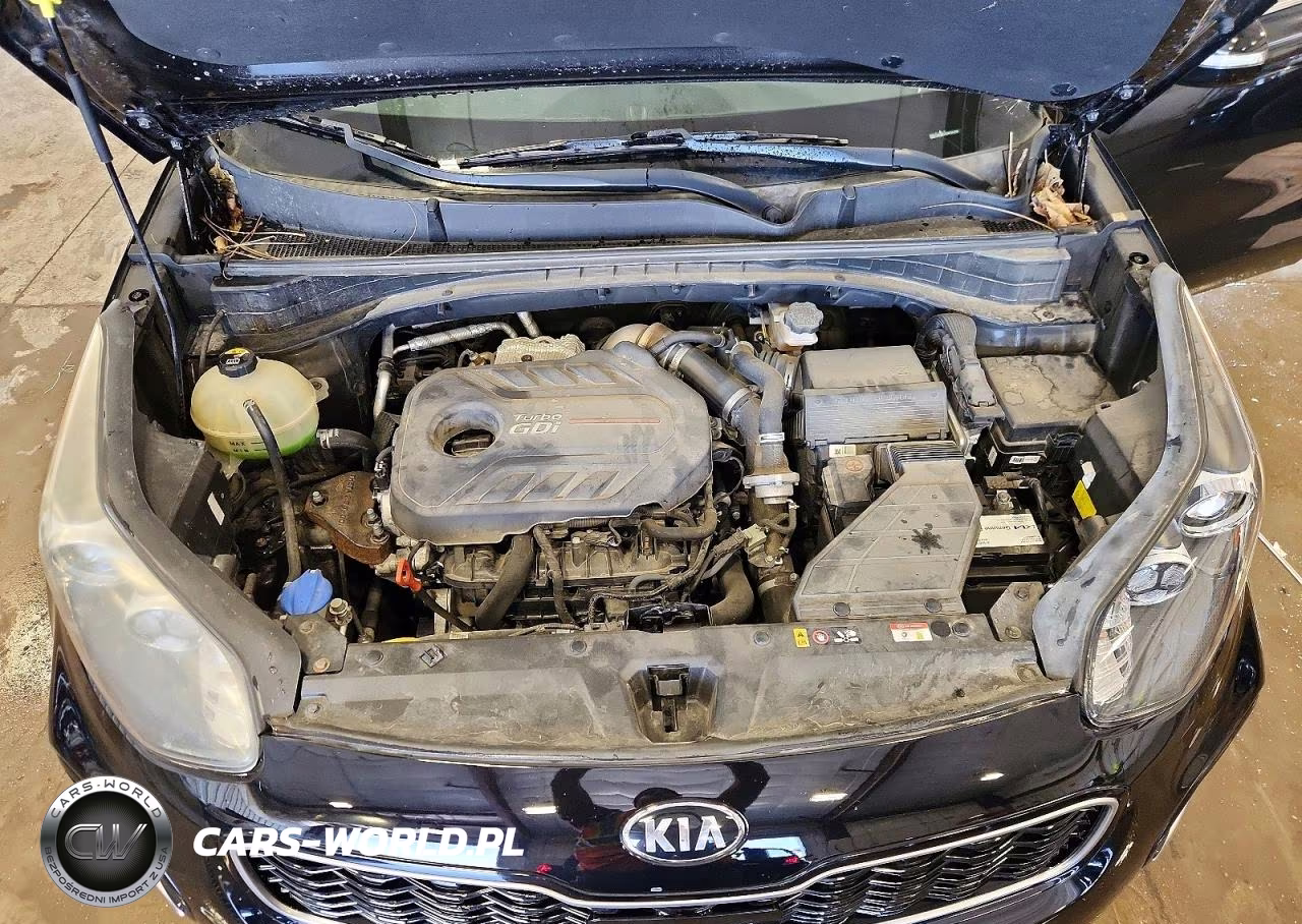 2017 Kia Sportage Sx VIN:KNDPRCA68H7067456 - 12