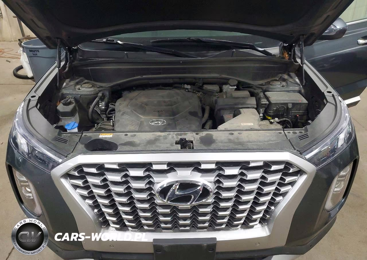 2022 Hyundai Palisade VIN:KM8R4DHE7NU415699 - 11