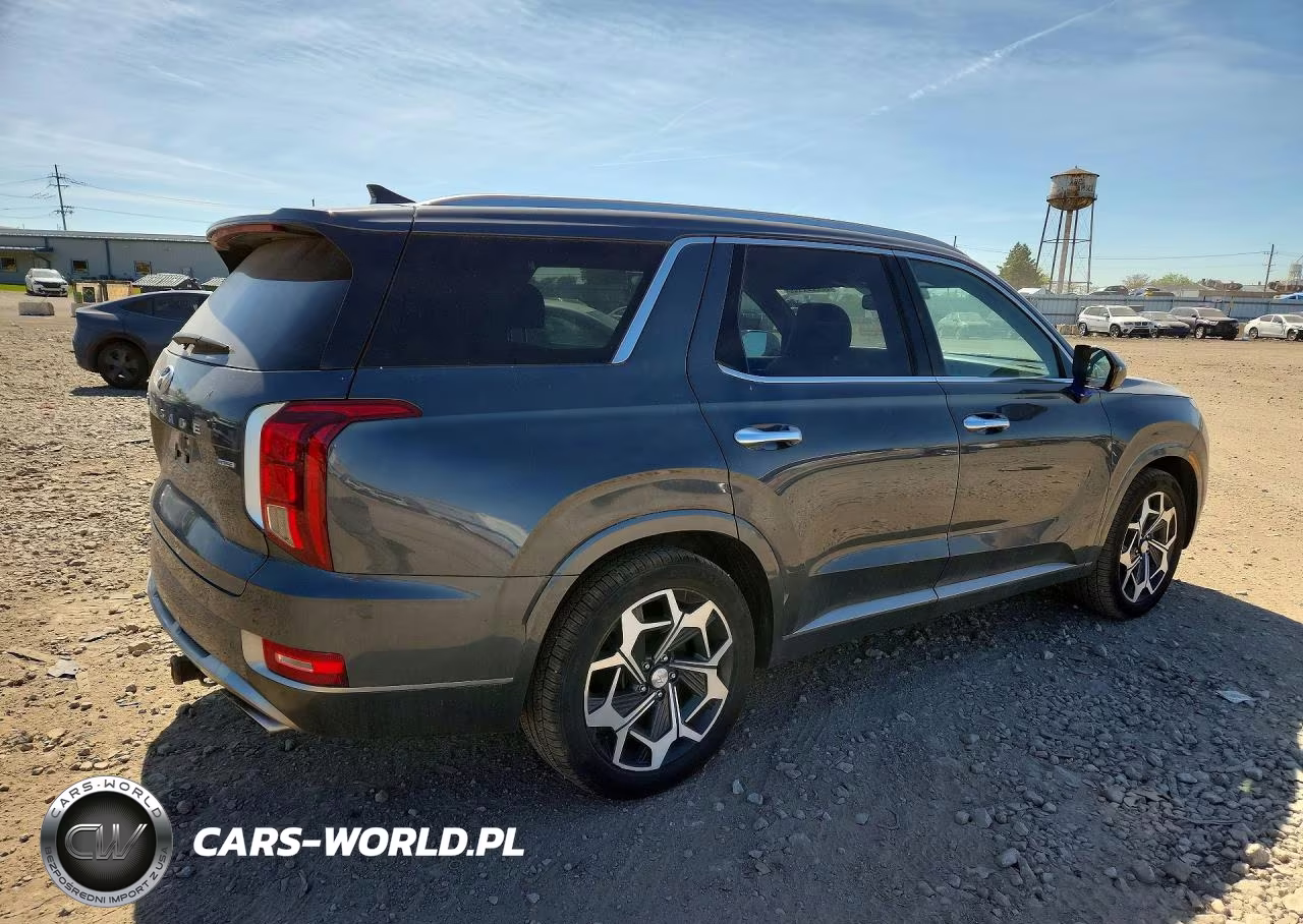 2022 Hyundai Palisade Calligraphy VIN:KM8R7DHE7NU407531 - 3