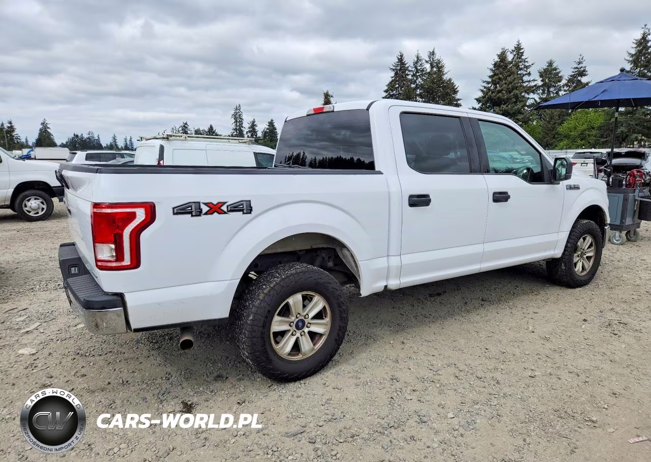 2016 Ford F150 Supercrew VIN:1FTEW1EF2GKE04827 - 3