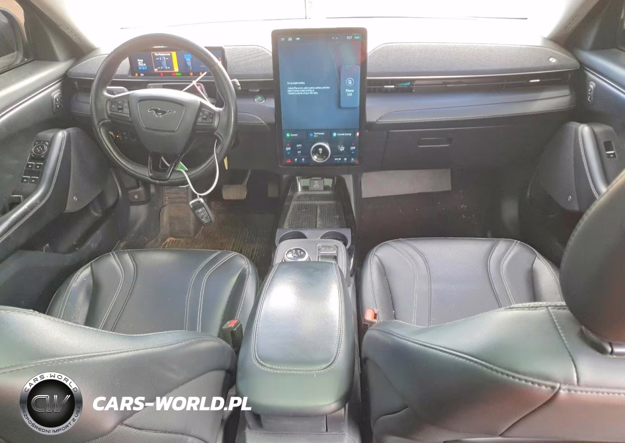2021 Ford Mustang Mach-E Premium VIN:3FMTK3SS4MMA20418 - 8