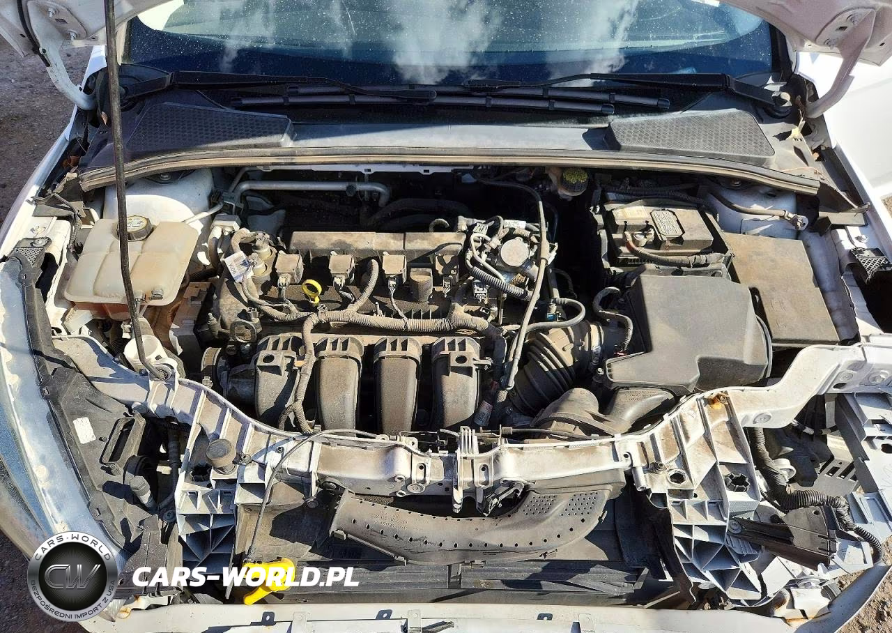 2016 Ford Focus Se VIN:1FADP3F23GL363477 - 11