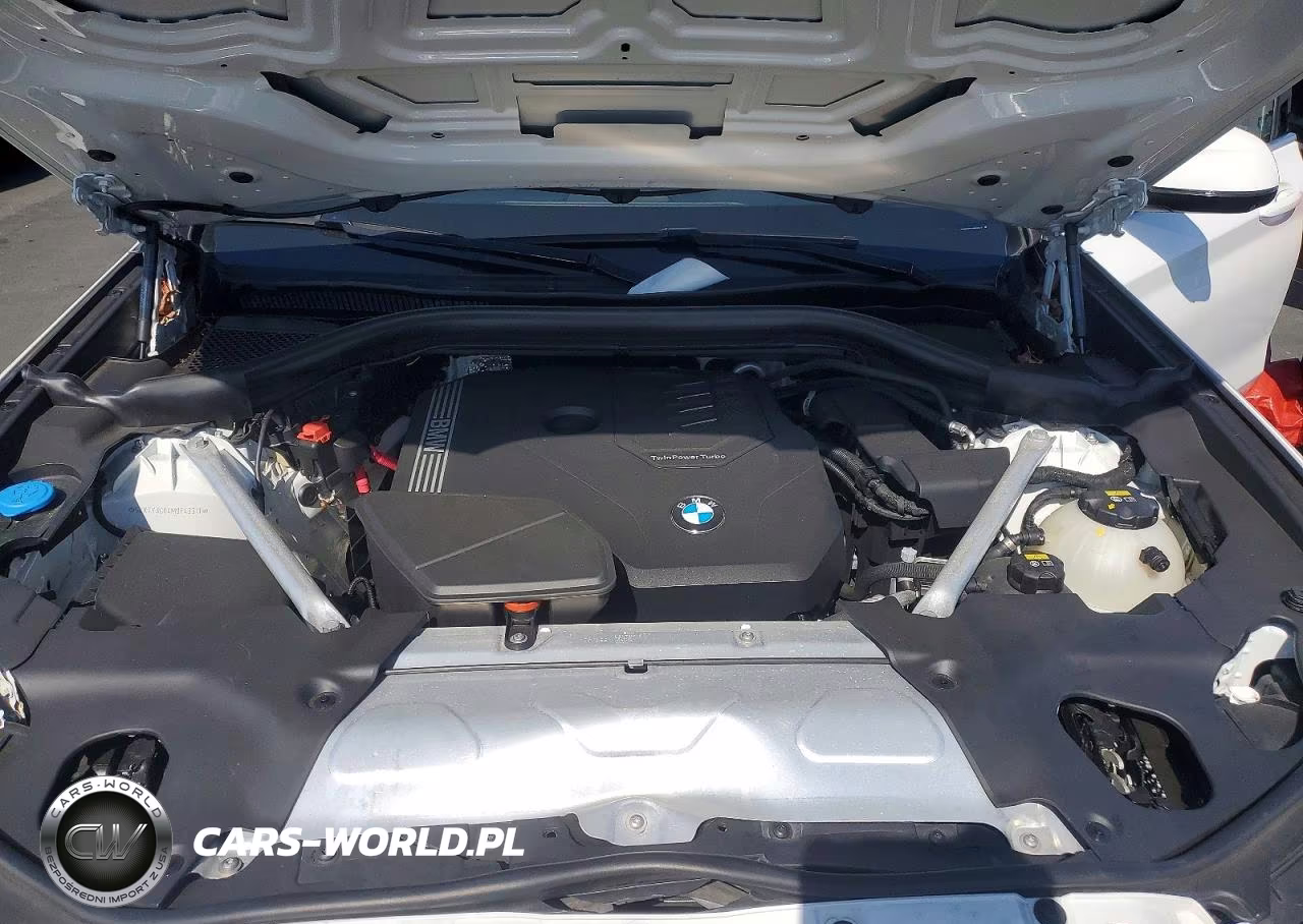 2021 BMW X3 Sdrive30I VIN:5UXTY3C04M9F43311 - 12