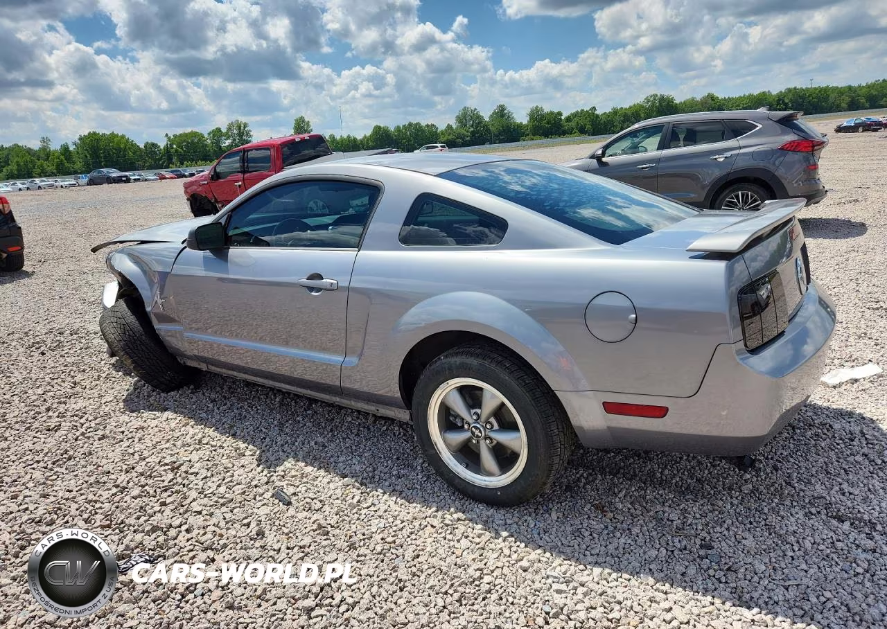 2006 Ford Mustang VIN:1ZVHT80N365145188 - 2