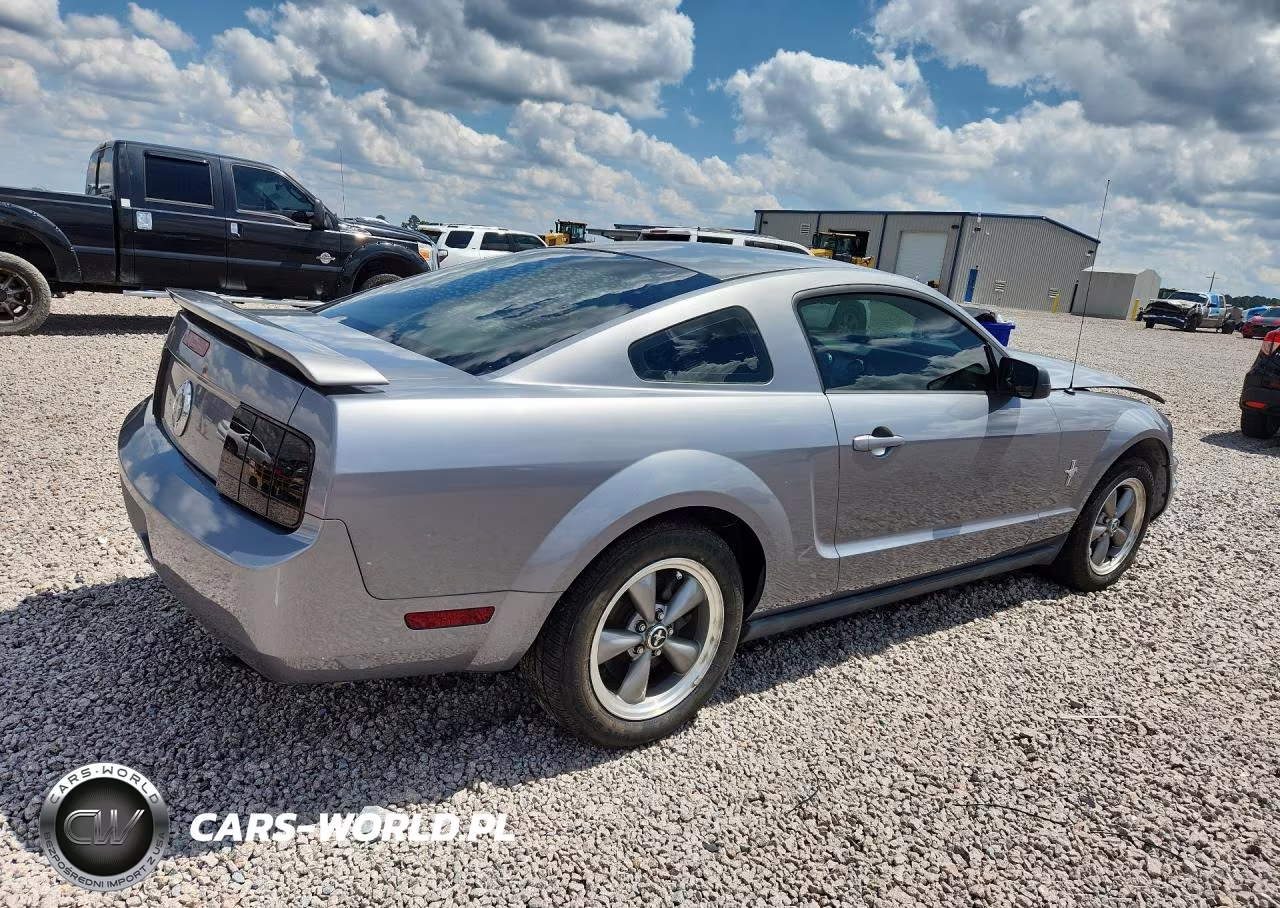 2006 Ford Mustang VIN:1ZVHT80N365145188 - 3