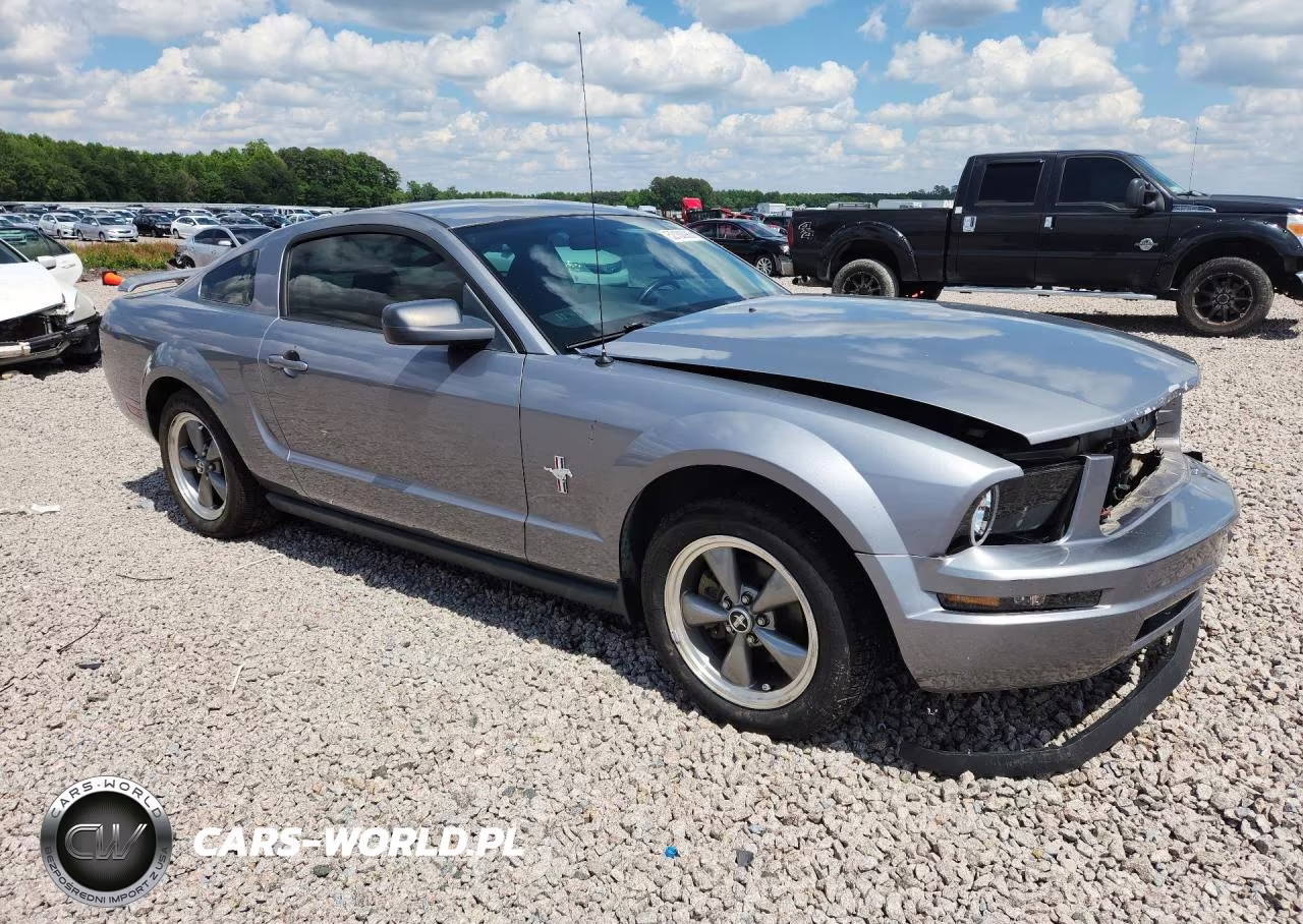 2006 Ford Mustang VIN:1ZVHT80N365145188 - 4