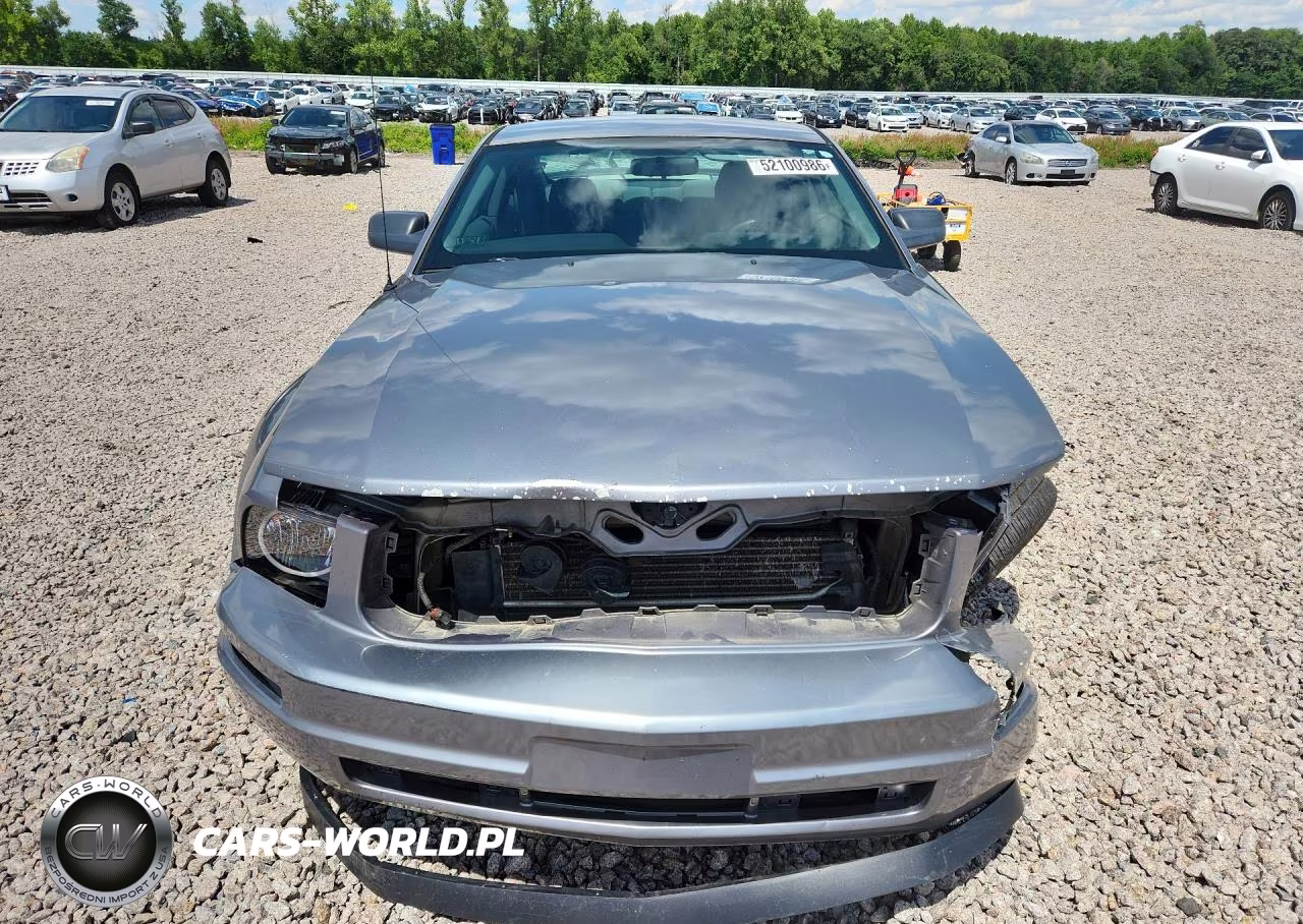 2006 Ford Mustang VIN:1ZVHT80N365145188 - 5