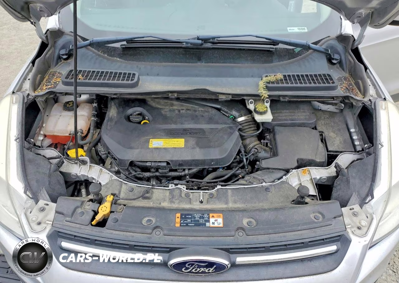 2014 Ford Escape Se VIN:1FMCU9GX0EUC17245 - 12