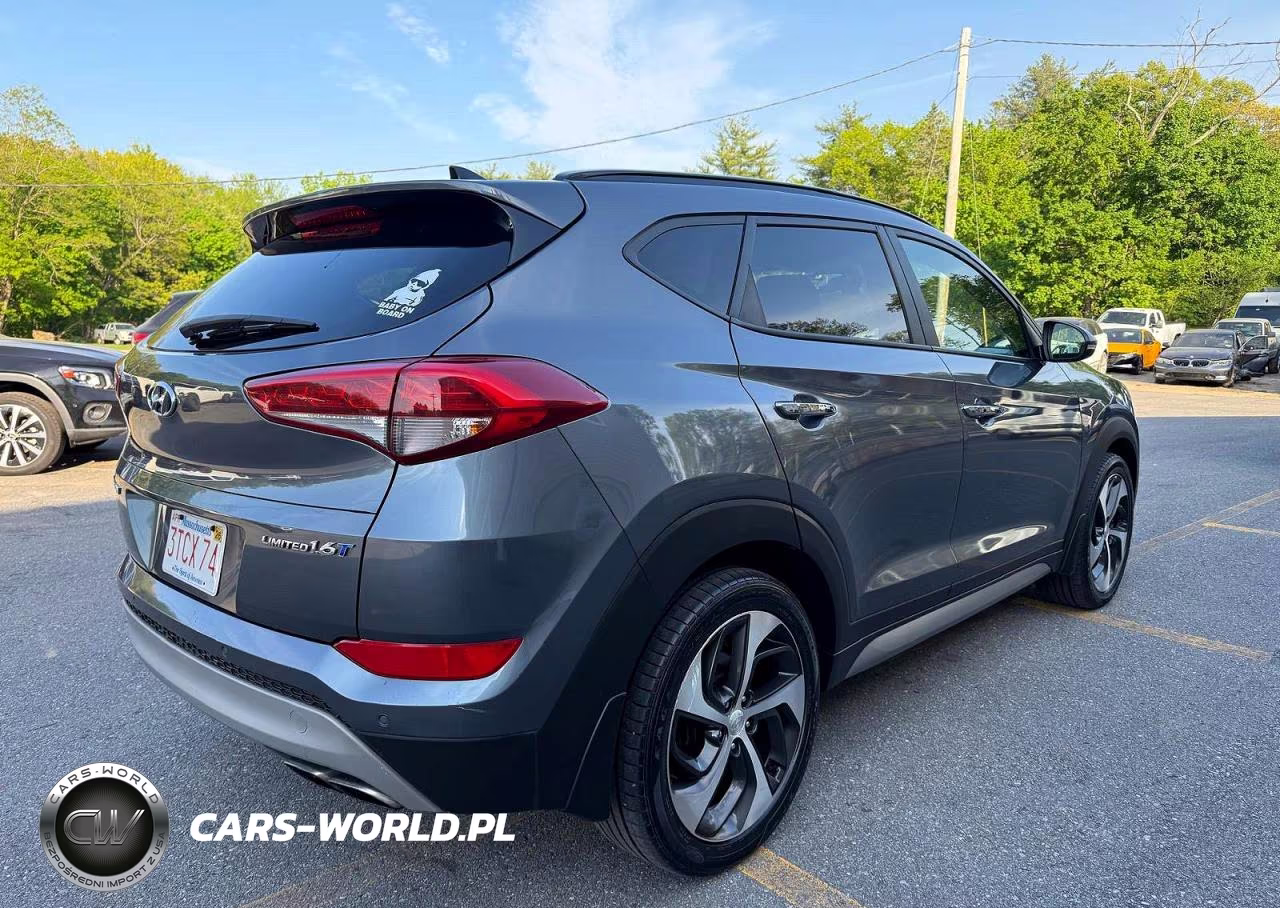2017 Hyundai Tucson Limited VIN:KM8J3CA21HU294814 - 4
