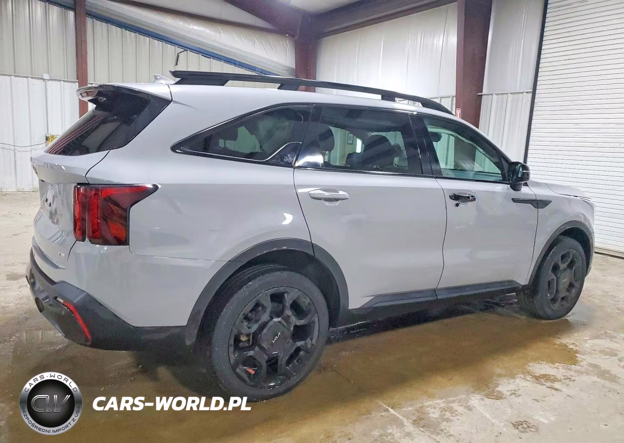 2024 Kia Sorento X-Line Ex VIN:5XYRHDJF5RG266129 - 3