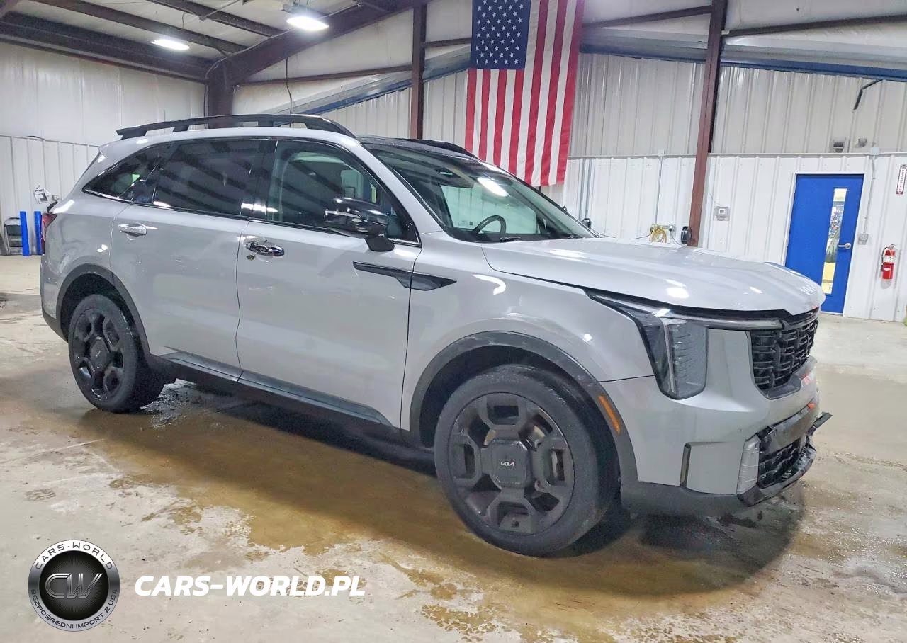2024 Kia Sorento X-Line Ex VIN:5XYRHDJF5RG266129 - 4