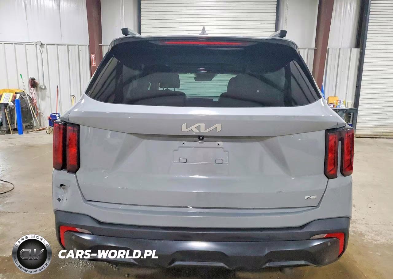2024 Kia Sorento X-Line Ex VIN:5XYRHDJF5RG266129 - 6