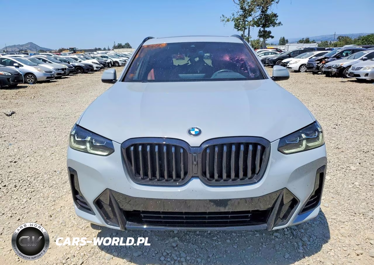 2023 BMW X3 VIN:5UX53DP04P9N53085 - 5