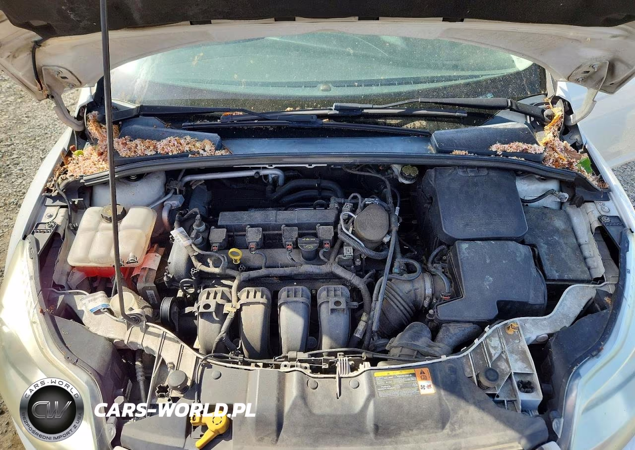 2013 Ford Focus Se VIN:1FADP3F23DL384163 - 11