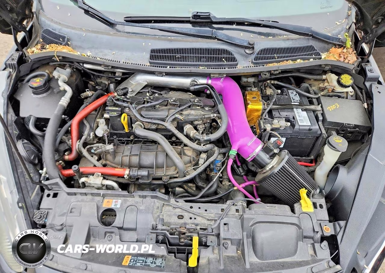 2014 Ford Fiesta St VIN:3FADP4GX0EM212950 - 11