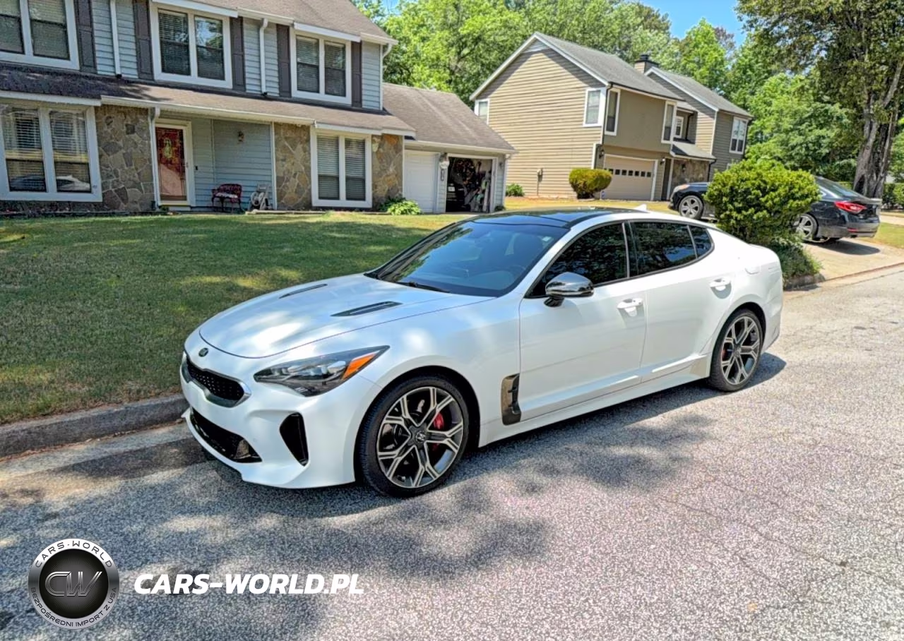 2019 Kia Stinger Gt1 VIN:KNAE45LCXK6061463 - 2